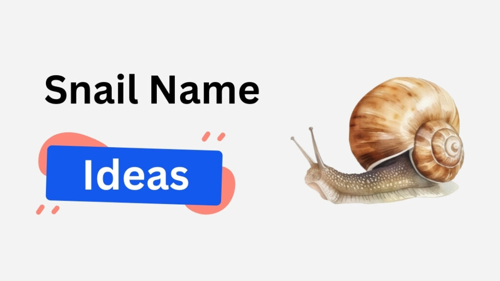 snail name ideas