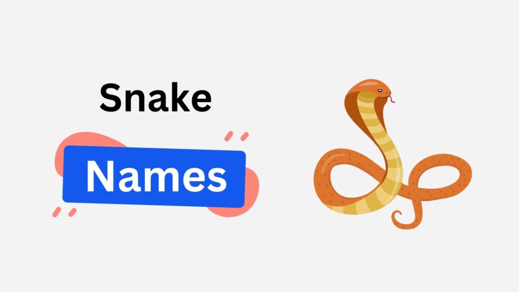 snake name ideas