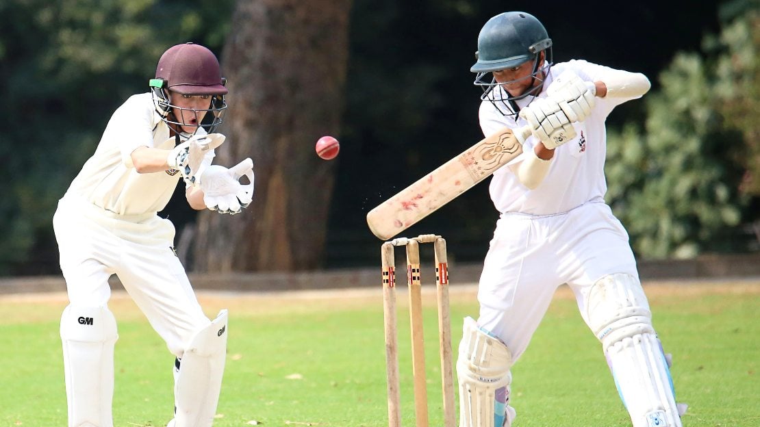 team names for cricket team