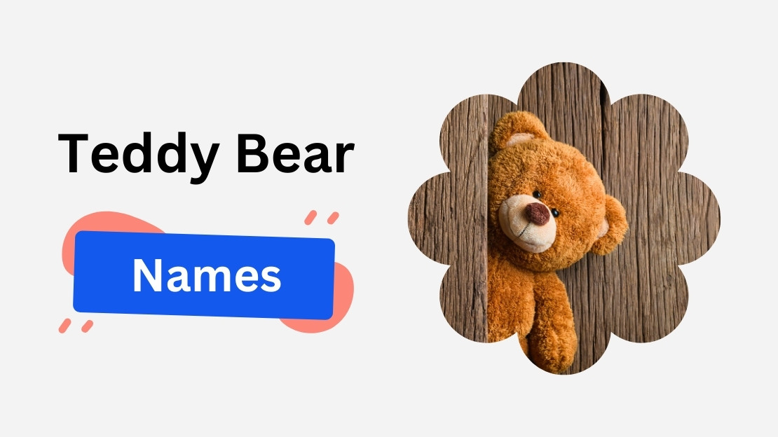 Teddy Bear Names Ideas (Cute, Cozy & Aesthetic Names by Vibe) 1 teddy bear name ideas
