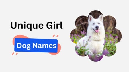 unique girl dog names